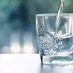 amezcua bio disc 3 best water