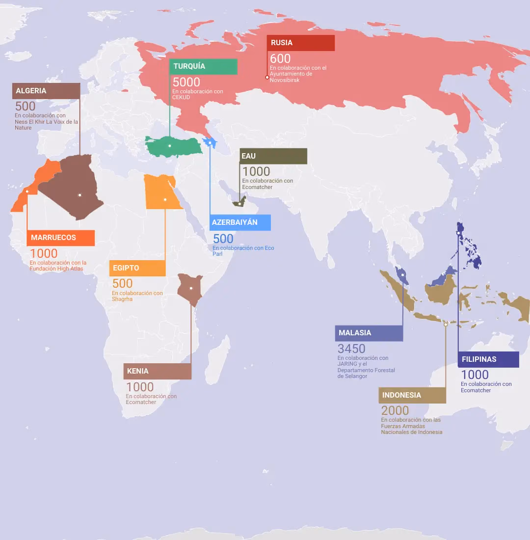 Mapa de El Legado Verde de QNET